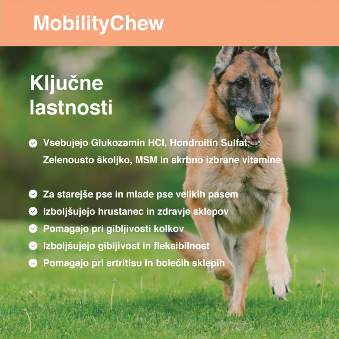 Mobility Chew klíčové vlastnosti