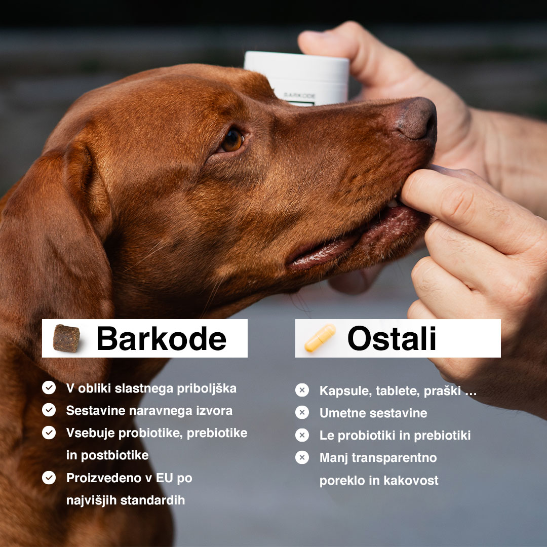 Probiotic Chew klíčové vlastnosti