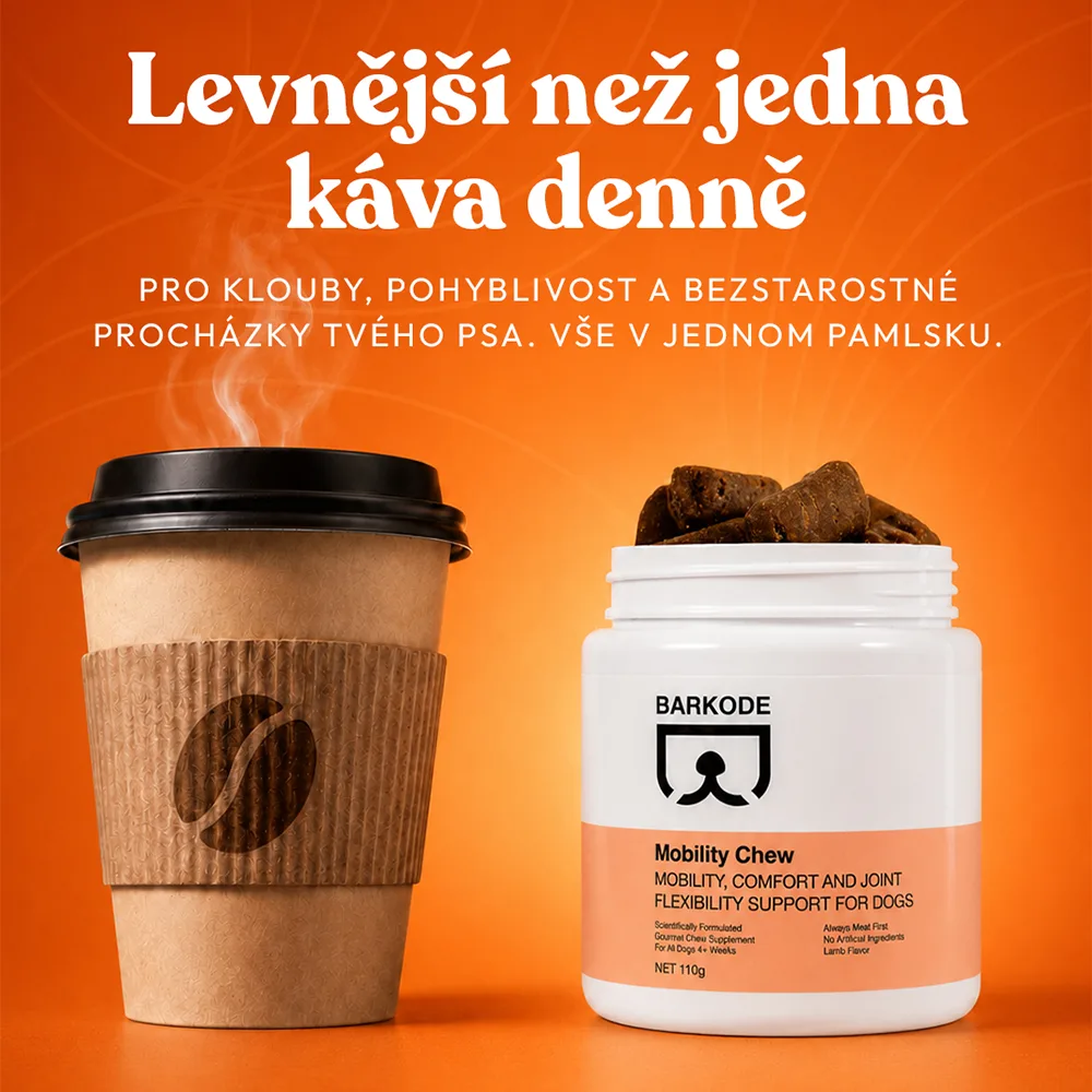 Dóza Mobility Chew vedle šálku kávy